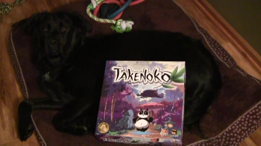Takenoko Strategy Primer – Board Game Business